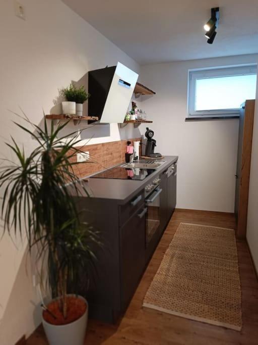 Altholzapartment In Kempten Waltenhofen Eksteriør billede